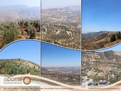 Commercial Land for Sale in Ajloun - Photo