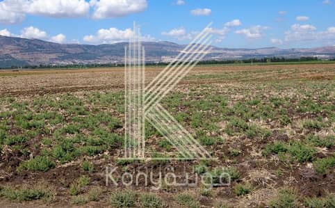 Residential Land for Sale in Naour, Amman - Photo