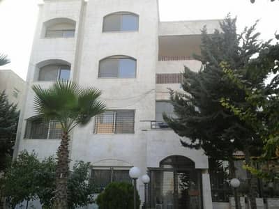 4 Bedroom Apartment for Rent in Al Jubaiha, Amman - Photo