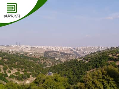 ارض سكنية للبيع في بدر الجديدة، عمان - ارض مميزة للبيع في اجمل مناطق بدر الجديدة بمساحة 500 م ارض سكنية للبيع في بدر الجديدة، عمان - ارض مميزة للبيع في اجمل مناطق بدر الجديدة بمساحة 500 م