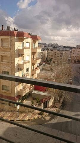 1 Bedroom Residential Building for Rent in Al Jubaiha, Amman - Photo