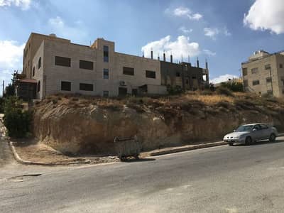 ارض سكنية  للبيع في أبو نصير، عمان - Photo