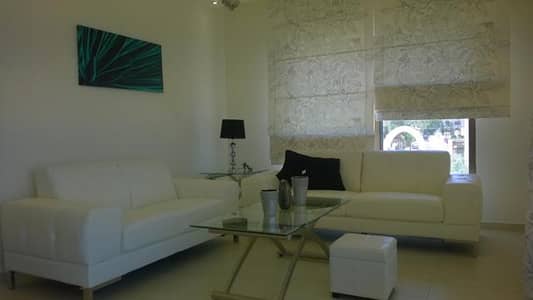 2 Bedroom Flat for Rent in Al Swaifyeh, Amman - Photo