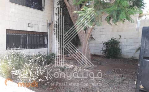 Photo Photo