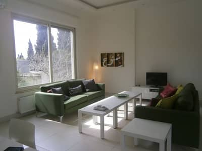 2 Bedroom Flat for Rent in 3rd Circle, Amman - Photo