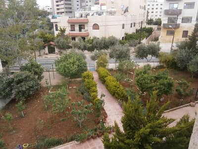 2 Bedroom Flat for Rent in Al Ameer Rashed District, Amman - Photo