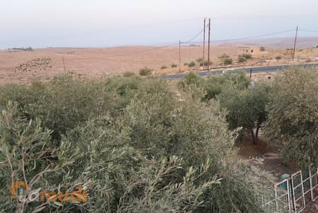 Residential Land for Sale in Madaba - Photo