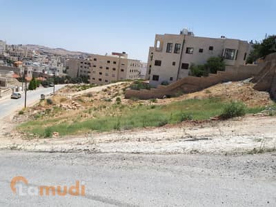 Residential Land for Sale in Shafa Badran, Amman - Photo