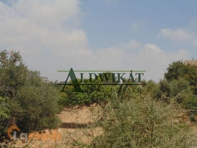 Residential Land for Sale in Dabouq, Amman - Photo Residential Land for Sale in Dabouq, Amman - Photo