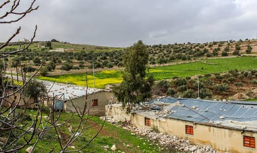Residential Land for Sale in Al Yazidiya, Al Salt - Photo