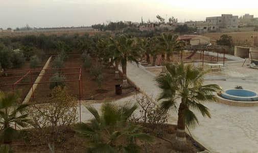 Farm for Sale in Airport Road, Amman - Photo