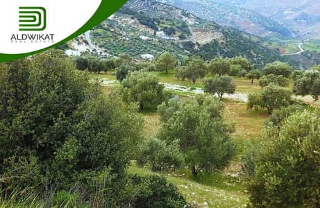 Residential Land for Sale in Bader Al Jadidah, Amman - Photo