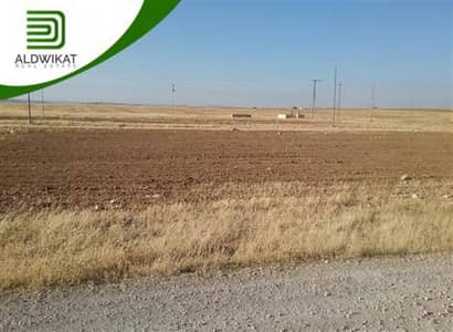 Agriculture Plot for Sale in Al Azraq, Zarqa - Photo