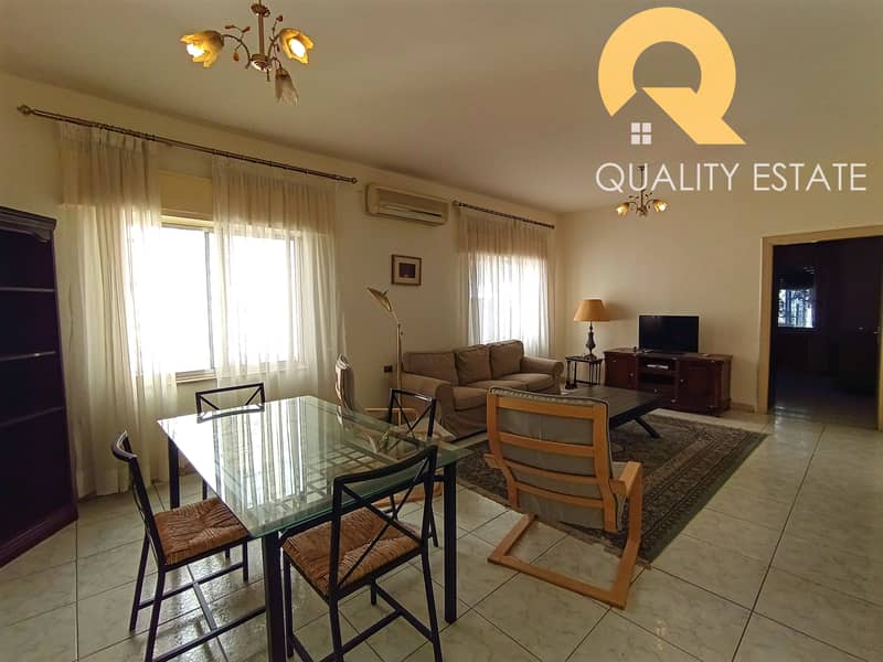 Furnished apartments for rent in the most beautiful areas of Jabel Al Webdeh