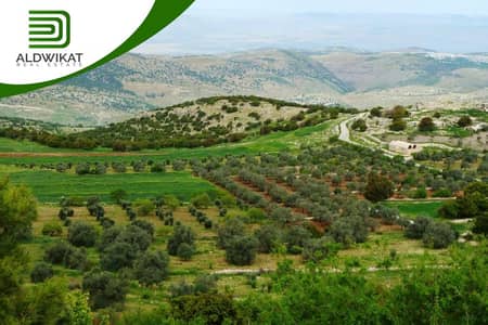 Agriculture Plot for Sale in Jerash - Photo