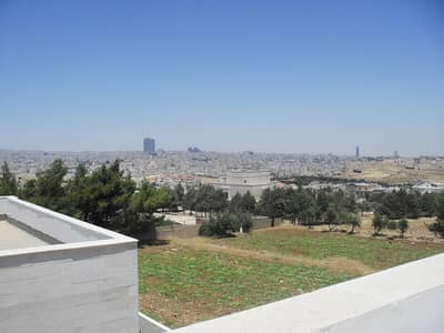 6 Bedroom Villa for Sale in Al Thahir, Amman - Photo