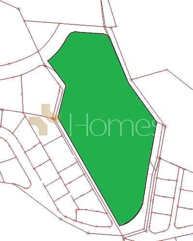ارض سكنية  للبيع في دابوق، عمان - ارض سكنية بالقرب من دابوق على 3 شوارع للبيع بمساحة 17200 م