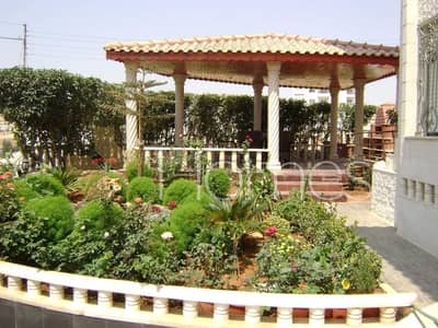 7 Bedroom Villa for Rent in Khalda, Amman - Photo
