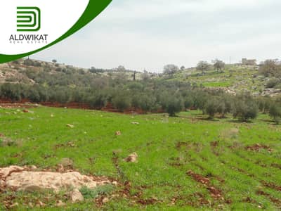 Residential Land for Sale in Bader Al Jadidah, Amman - ارض للبيع في بدر الجديدة مساحة الارض 774 م