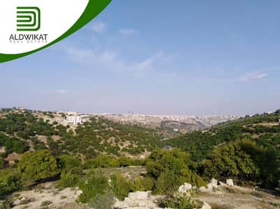Residential Land for Sale in Bader Al Jadidah, Amman - ارض للبيع في بدر الجديدة مساحة الارض 706 م