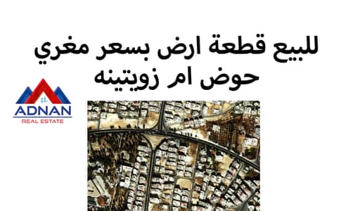Residential Land for Sale in Al Jubaiha, Amman - ارض للبيع مميزة جدا في ام زويتينه