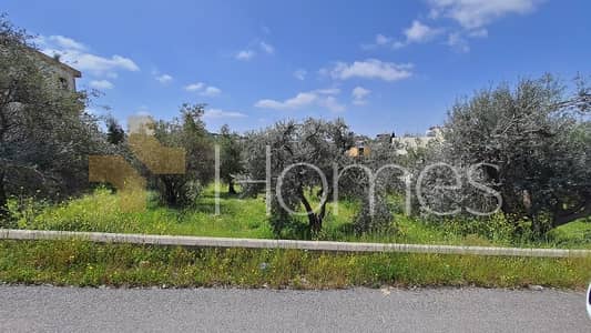 Residential Land for Sale in Bader Al Jadidah, Amman - Photo