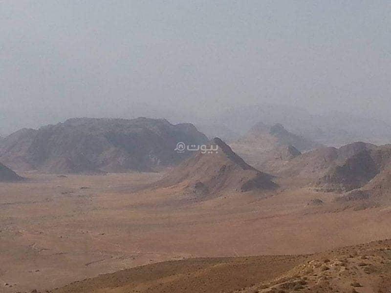 Land Residential Land For Sale Ras Al Naqb, Maan