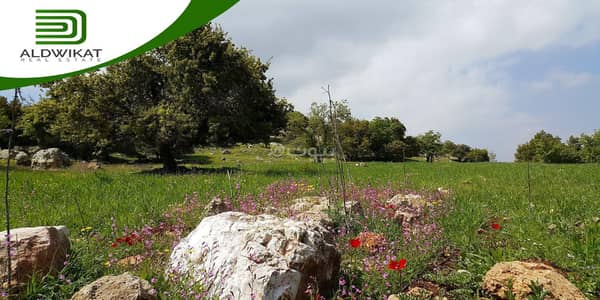 Chalet for Sale in Marj Al Hamam, Amman - Residential Land For Sale Marj Al Hamam, Amman