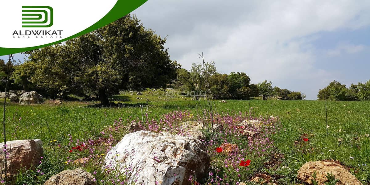 Residential Land For Sale Marj Al Hamam, Amman