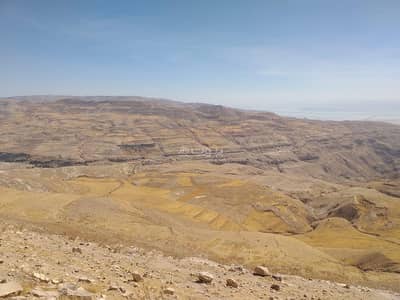 شاليه  للبيع في القصر، الكرك - أرض سكنية للبيع وسط المدينة الزرقاء
