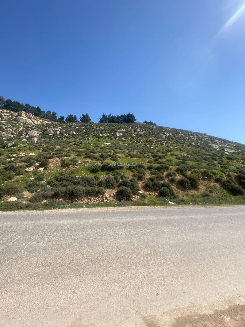 Residential Land For Sale in Jordan Street, Amman Residential Land For Sale in Jordan Street, Amman
