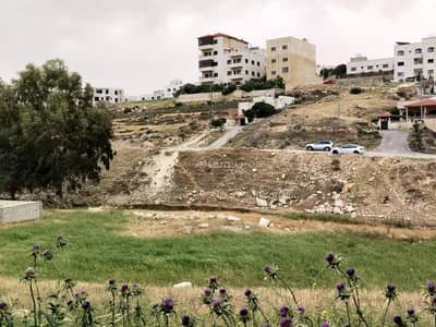 Chalet for Sale in Abu Nsair, Amman - Residential Land For Sale Abu Nsair, Amman