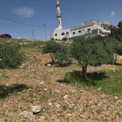 Chalet for Sale in Birayn, Zarqa - Studio Apartment For Sale in Birayn, Zarqa