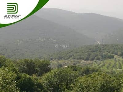 شاليه  للبيع في بدر الجديدة، عمان - أرض سكنية للبيع في بدر الجديدة، عمان