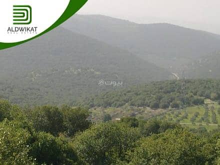 أرض سكنية للبيع في بدر الجديدة، عمان