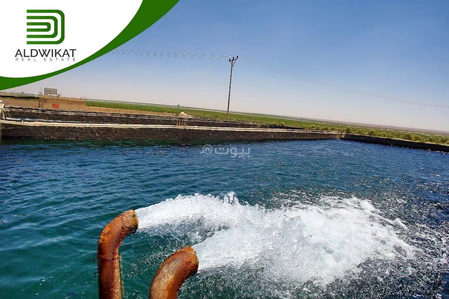 أرض سكنية للبيع الأزرق، الزرقاء أرض سكنية للبيع الأزرق، الزرقاء