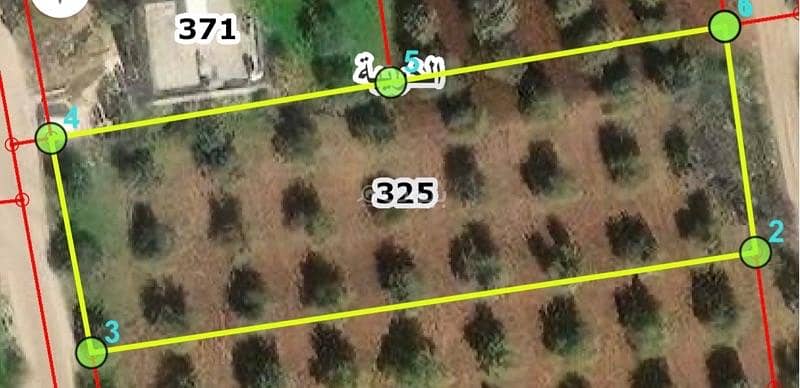 Residential Land For Sale in Khureiba, Irbid