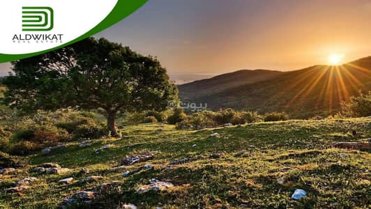 شاليه  للبيع في الجيزة، عمان - أرض سكنية للبيع الجيزة، عمان