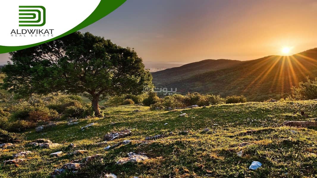 أرض سكنية للبيع الجيزة، عمان أرض سكنية للبيع الجيزة، عمان