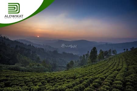 شاليه  للبيع في الكمالية، عمان - أرض سكنية للبيع في الكمالية، عمان