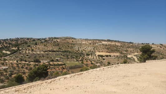 Chalet for Sale in Souf, Jerash - Studio Apartment For Sale in Souf, Jerash