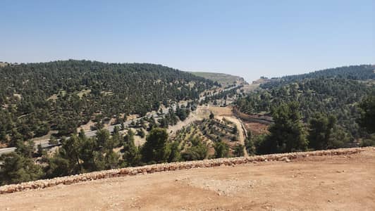 Chalet for Sale in Souf, Jerash - Residential Land For Sale in Souf, Jerash