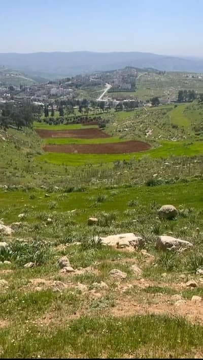 Chalet for Sale in Al Kitta, Jerash - Residential Land For Sale Al Kitta, Jerash
