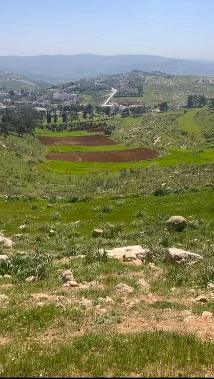 Residential Land For Sale Al Kitta, Jerash