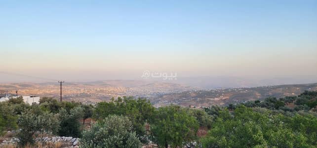 Chalet for Sale in Souf, Jerash - Residential Land For Sale in Souf, Jerash