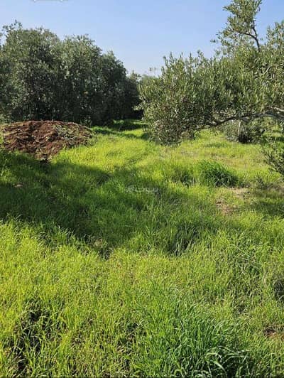 Chalet for Sale in Bushra, Irbid - Residential Land For Sale - Bushra, Irbid