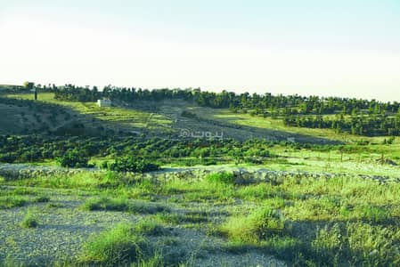 Chalet for Sale in Shafa Badran, Amman - Residential Land For Sale in Shafa Badran, Amman