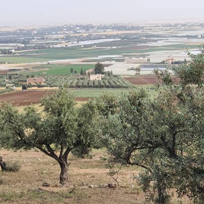 Chalet for Sale in Naour, Amman - Residential Land for Sale 567 Square Meters Naour, Amman