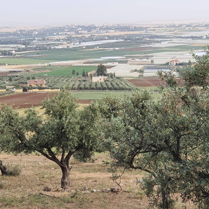 Residential Land for Sale 567 Square Meters Naour, Amman Residential Land for Sale 567 Square Meters Naour, Amman