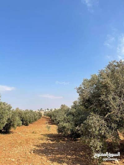 شاليه  للبيع في مرو، إربد - أرض سكنية للبيع في مارو، إربد